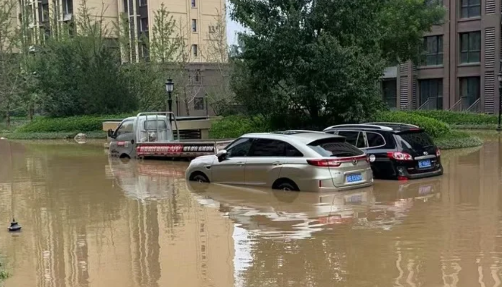 暴雨洪灾过后为什么会有瘟疫发生1